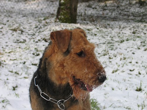 Quentin-Bommel 2 Jahre